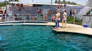 Saskia Thuot vit l'unique expérience du #défianimalier à l'Aquarium du Québec! Défi réussi aujourd'hui avec les phoques communs. Bravo Saskia! | Aquarium du Québec
