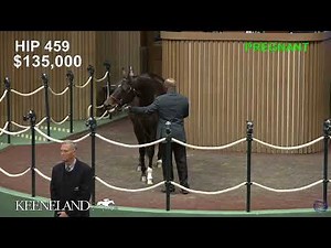 Keeneland Live Feed