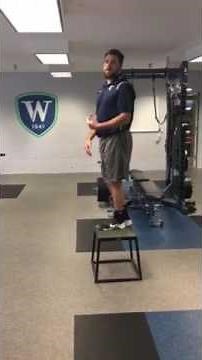 SL (single leg) squat-to-box & squat on box