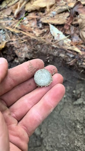 Only the og detectorists will understand 😵 #fyp #explorepage #metalde