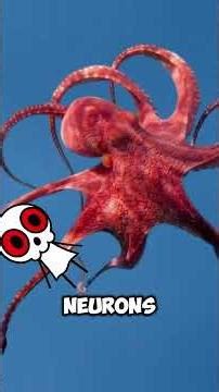 Scientists Think Aliens May Already Exist on Earth