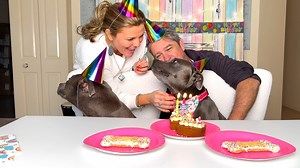 292K views · 31K reactions | Happy 3rd Birthday Ruby ❤️ Rubys birthday was filled with more fun than a dog can handle . Ruby doesn't like too much attention but today was an exception she was happy with the many cuddles , cake , presents , games , singing from Molly and attention from mumma Peggy and the hoomans , shes snoring as I sit here typing this  . Happy Birthday to the sweetest most loving girl in the world ❤ | Peggy and Molly | Facebook