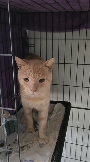 17K views · 1.4K reactions | Monty is doing so phenomenally well. He...