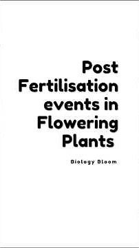 Post Fertilisation events in Flowering Plants ☘️ | #ncertbiology #neet2025