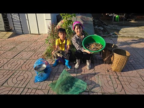 find a kind of fish hiding in the mud, and harvest soft-shell turtles to sell, highland boy life