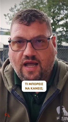 Ο σκύλος - ελατήριο