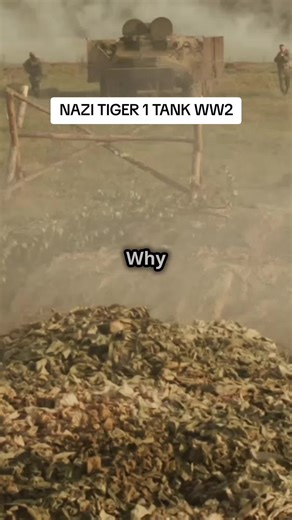 The infamous Tiger 1 tank of Nazi Germany during WWII - FACTS! #ww2 #WW2 #TANK #HISTORY