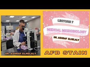 7 General microbiology | Sputum Positive AFB Stain| Mycobacterium under microscope|ziehl neelsen