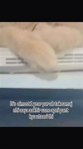 RELATABLE | PERSONAL on Instagram: "😱 Feb 26 2025 turned into what many called Instagram’s “dark day.” Around midday a global outage knocked out chats, DMs and feed loading for about an hour, and at the same time a technical glitch in the moderation system flooded Reels with graphic, violent videos—car crashes, gun violence and other disturbing scenes that normally would be blocked . Meta apologized, saying both the connectivity failure and the content‑moderation error were fixed within hours, 
