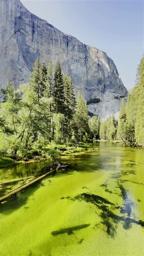 El Capitan, Yosemite National Park. #yosemite #yosemitenationalpark #elcapitan #climbing #nationalpark