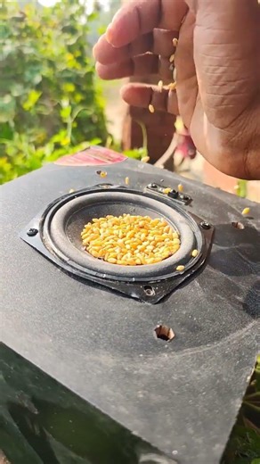 trending Jbl speaker bass test