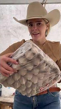 Guiding mule deer hunts in the Wyoming backcountry! #hunting #horse #wyoming #deer #cowgirl #cooking