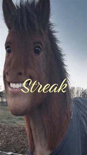 Enjoy These Hilarious Horse Moments