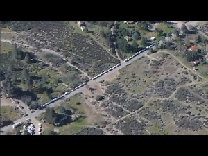 Los Angeles County animal control seizes about 700 cats and dogs from Lake Hughes property