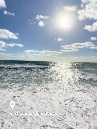 6K views · 23 reactions | Visit Lauderdale on Reels | Facebook