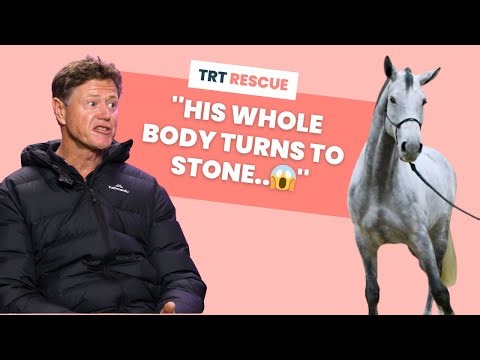 The horse that BLOCKS at the jump 🚫 - TRT Rescue S1E5