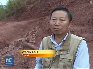 640 reactions · 487 shares | Two sets of Jurassic dinosaur fossils have been discovered in Yunnan Province. One set is about 70 percent complete. | China Xinhua News | Facebook