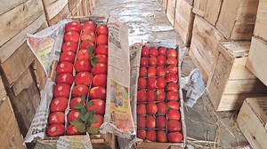 69K views · 1.9K reactions | The market is still very good, just pay maximum attention to grading" Today's 30 November saturday Sopore Fruit Mandi Ground Report by Apple Town Sopore #fruitgrowers #share #comment #soporemandi | Apple Town Sopore | Facebook