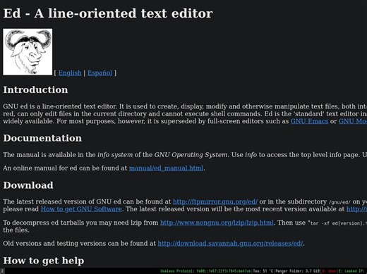 ed编辑器 | Tsoding
