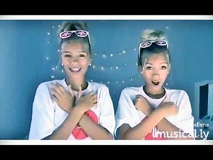Lisa and Lena Twins Hall of Fame Musical.ly