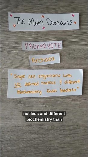 Archaea, Bacteria, & Eukarya - Classification of Organisms & Domains