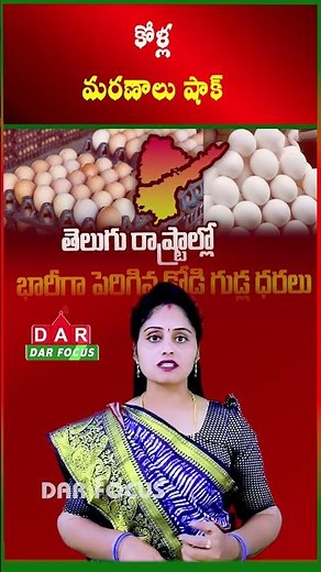 Egg Prices Surge to ₹7 Due to Poultry Deaths and Rising Demand | Latest updates | DAR FOCUS