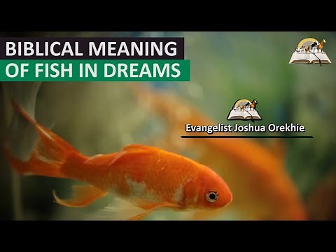 Biblical Meaning of FISH in Dream - Mark 1:17 Prophetic Meaning of Fish
