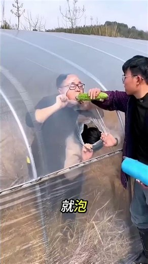 A thief stealing bitter melons vs. an angry greenhouse manager! 🥒🏠🩹