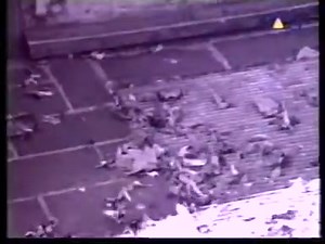 Count Raven Great DOOM Metal band from Stockholm, Sweden 🇸🇪 High on Infinity (1993) We fear death and darkness, my friend That's why we need a legend Marie Kelly did die Honour her and live and stop the lie | True Heavy Metal PAGE