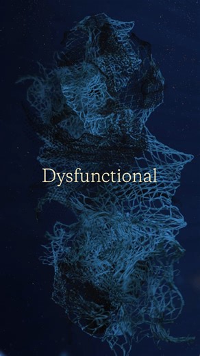 Discarded fishing nets are one of the most harmful forms of ocean pollution. This season, we're recycling 600 tons of them into gear you can use, again and again. Explore the collection at https://bit.ly/4hpg0rI | Patagonia