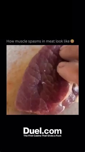 @explainingthisworld on Instagram: "Muscle spasms in meat, often called pseudocontractions, occur due to nerve or muscle reactions shortly after the animal has been slaughtered. These spasms are visible as small, rapid twitches or contractions of muscle fibers. They give the meat a slightly uneven or rippled appearance, which can look like it is moving even though the animal is no longer alive. This phenomenon is most noticeable in fresh meat when nerves or muscle fibers are still reactive. It h