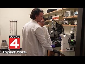 Here are the future of medical microbots