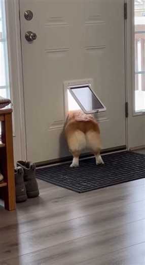 Big Butt Problems - Mission Impossible 😂