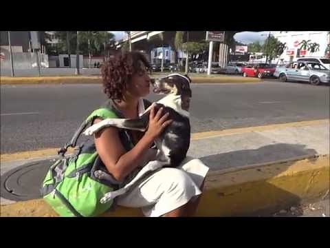 Mujer se besa apasionadamente con su Perro