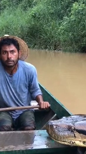 398K views · 1.7K reactions | giant anaconda in the boat | Biologia que Facina | Facebook