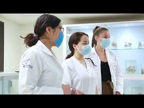 Oferta educativa: Licenciatura Médico Cirujano y Partero