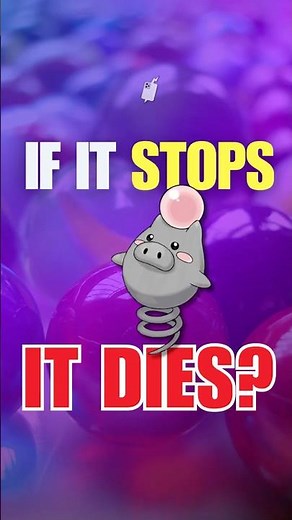 Meet Spoink - The Pokémon That Can’t Stop or It’ll Die