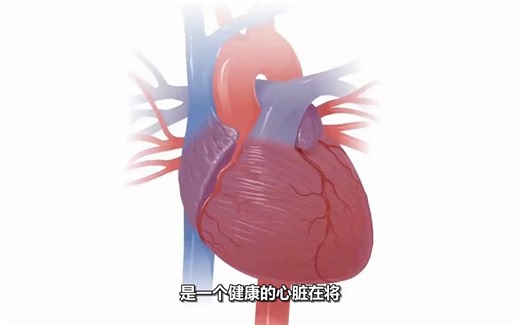 什么是scd（心源性猝死）？