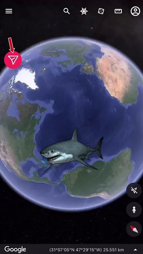 Shark Attack on Google Earth Coordinates