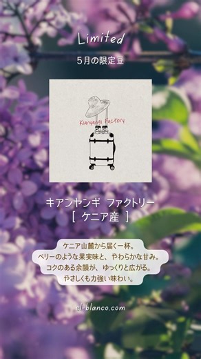 《初夏に向けて》5月 おすすめのコーヒー豆｜COFFEE ROAST EL BLANCO#コーヒー #おうちカフェ