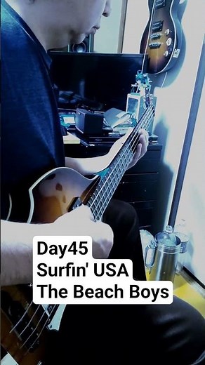 Day45: Surfin' USA/ The Beach Boys