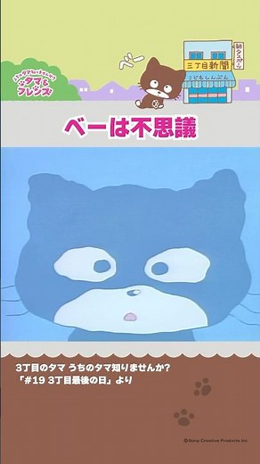 ベーは不思議【3丁目のタマ うちのタマ知りませんか？】 #Shorts