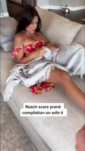 fake cockroach prank#fakecockroach#prank#scream#frightened#funny