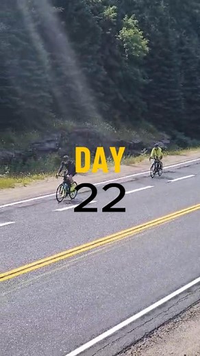 Birds Canada on Reels