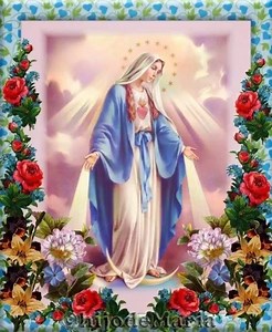 159 reactions · 53 shares | Hail Mary, Full of Grace, Pray for us sinners, Now and at the hour of our death. Amen. | Daily Bible Verse | Facebook