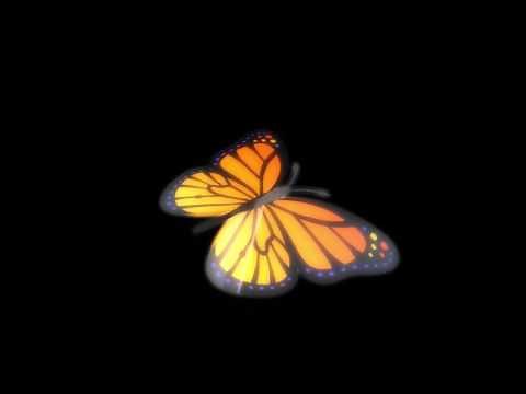 Butterfly Flying Endlessly | 4K Relaxing Screensaver