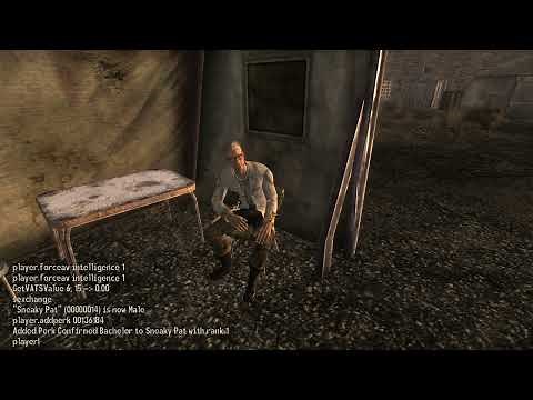 How to use console commands to change skill level Fallout New Vegas