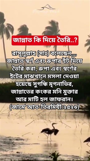 জান্নাত কি দিয়ে তৈরি..?#জান্নাত #ইসলামিক_শর্ট_ভিডিও #foryou #islamicmessages #viral #youtubeshorts
