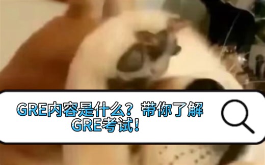 GRE内容是什么？进来带你GRE考试