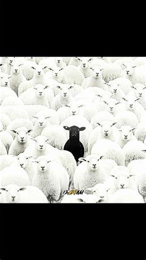 I Think My CHATGPT Knows Who Is The Real GOAT😳 | GOAT EDIT | MONTAGEM ALQUIMIA #anime #gojo